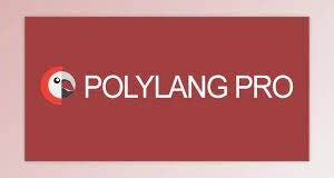 Polylang Pro – Multilingual Plugin